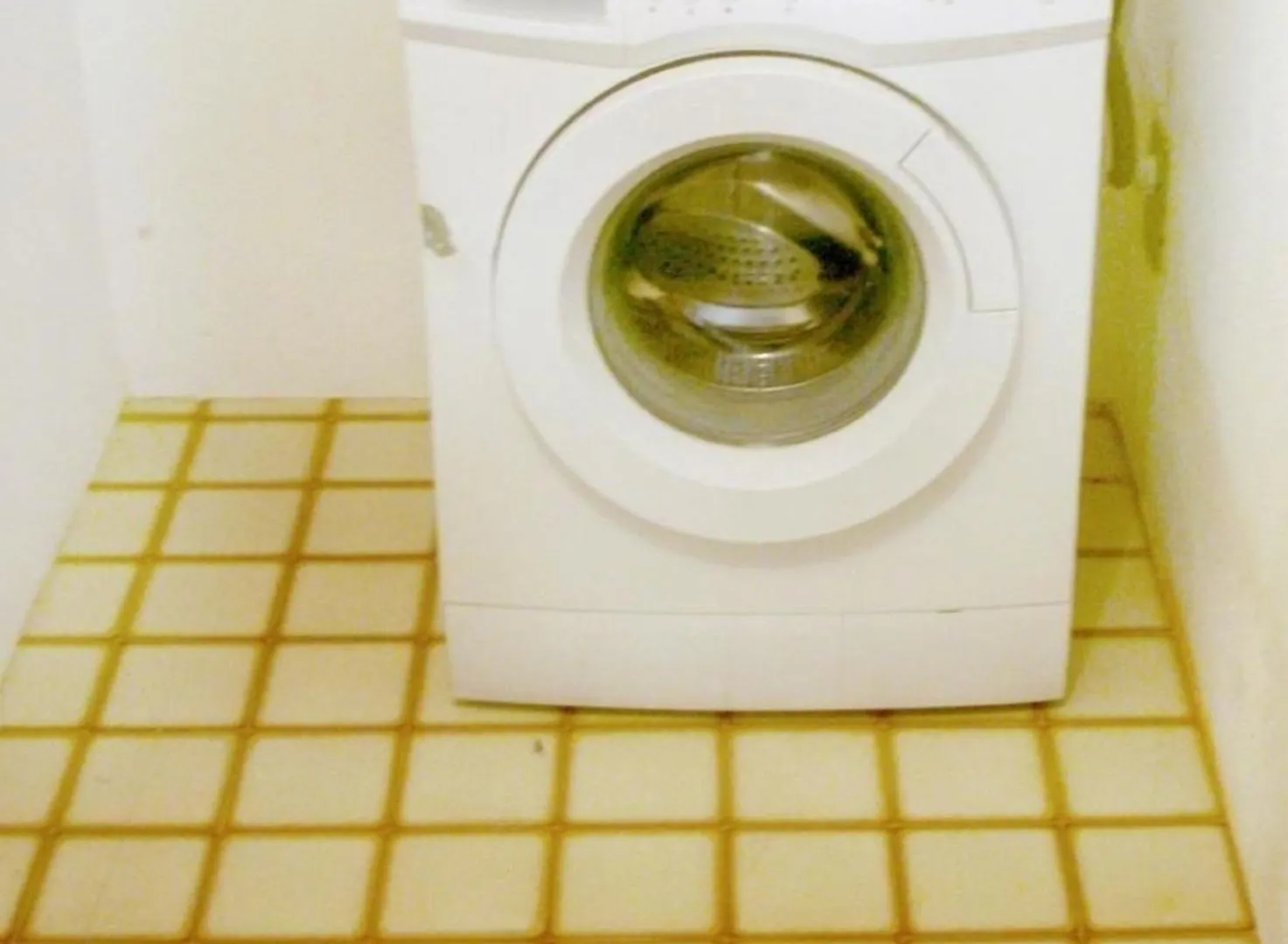 Wohnung In Umag Mit Gepflegtem Garten 0*,